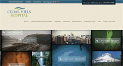 Desktop Screenshot of cedarhillshospital.com